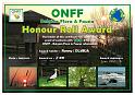 ONFF-Honour Roll Award